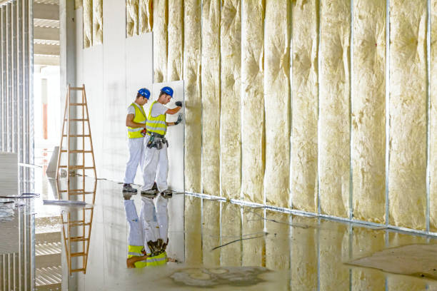 Best Wall Insulation Installation  in USA